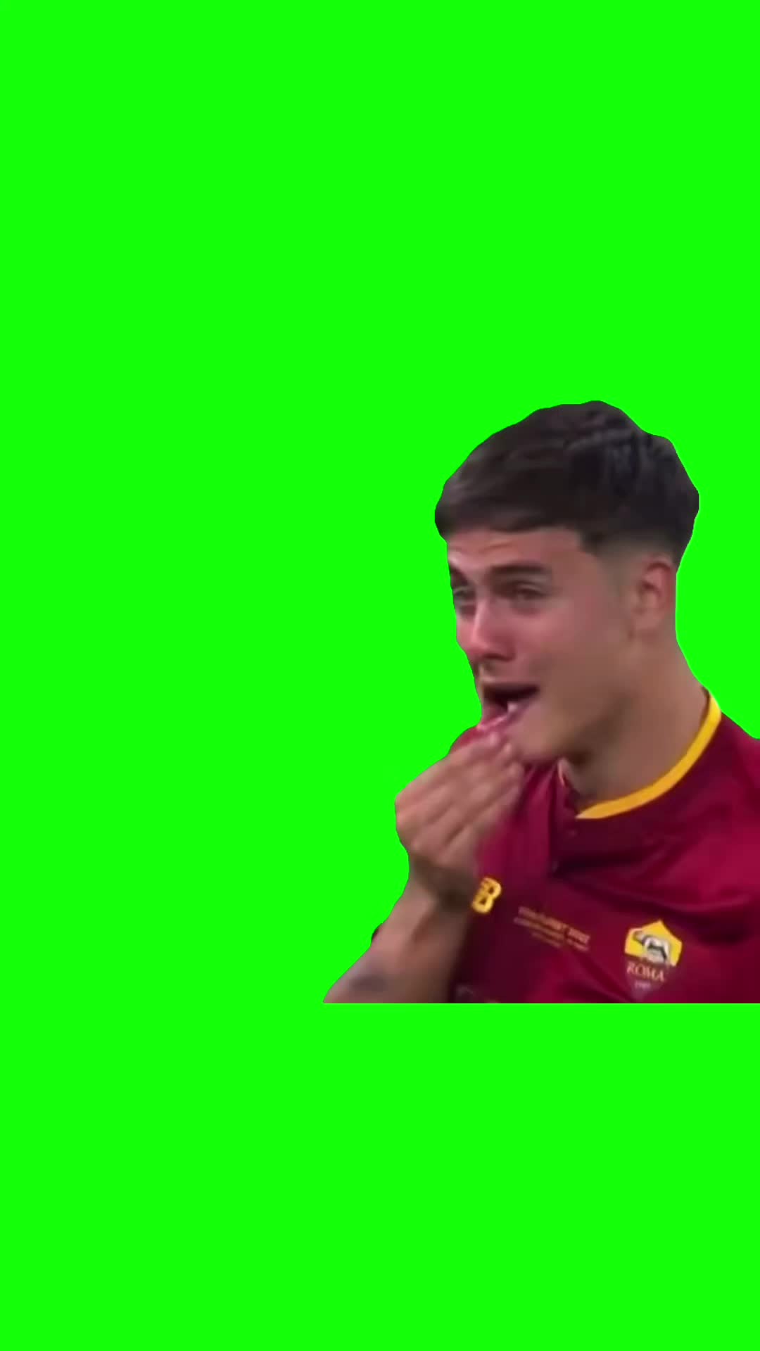 @Chief Green Screens