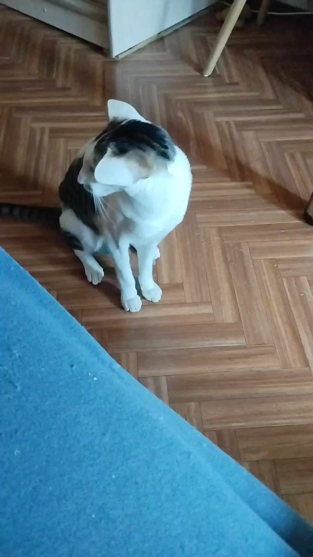 @Наталья