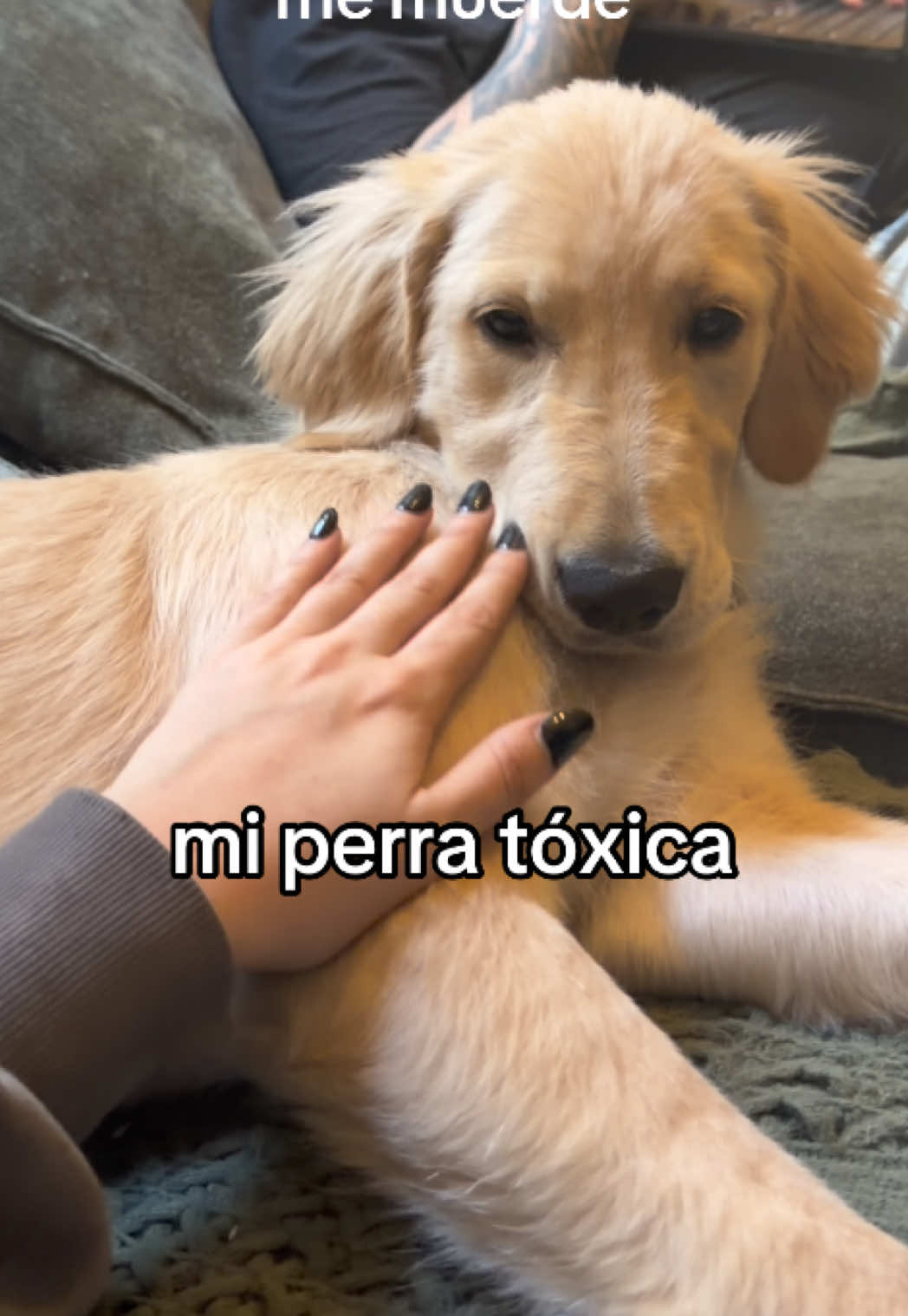 @Panchalagolden