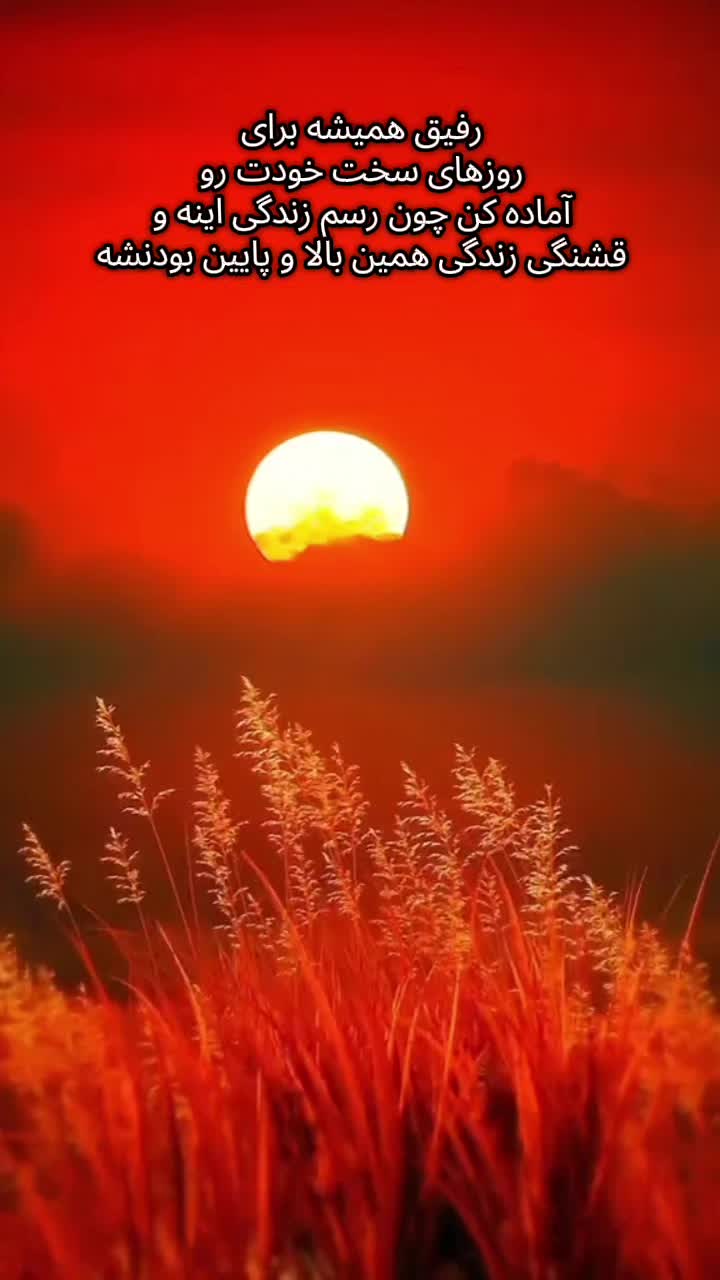 @sirous.shafi