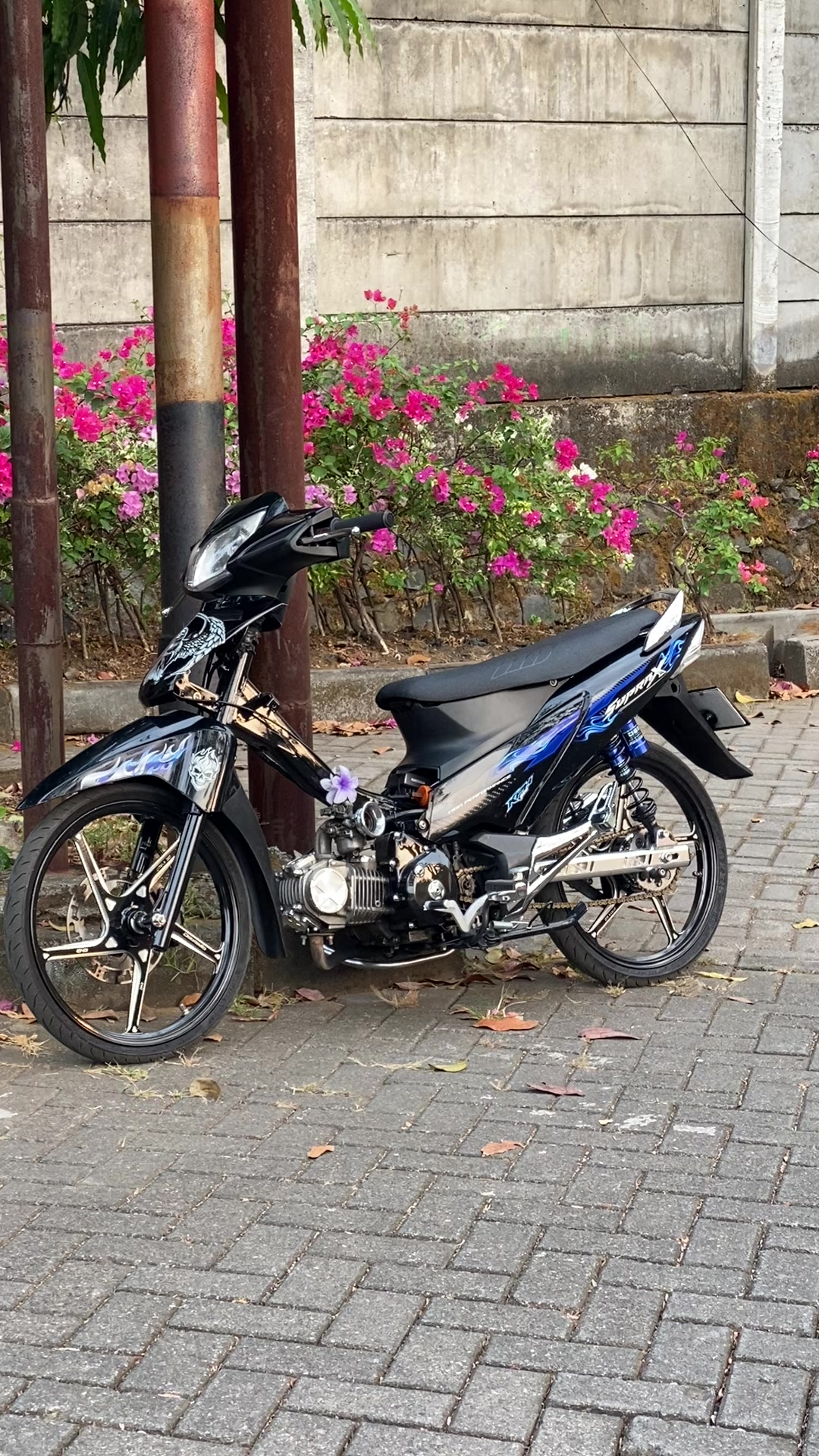 @Yogi Tri