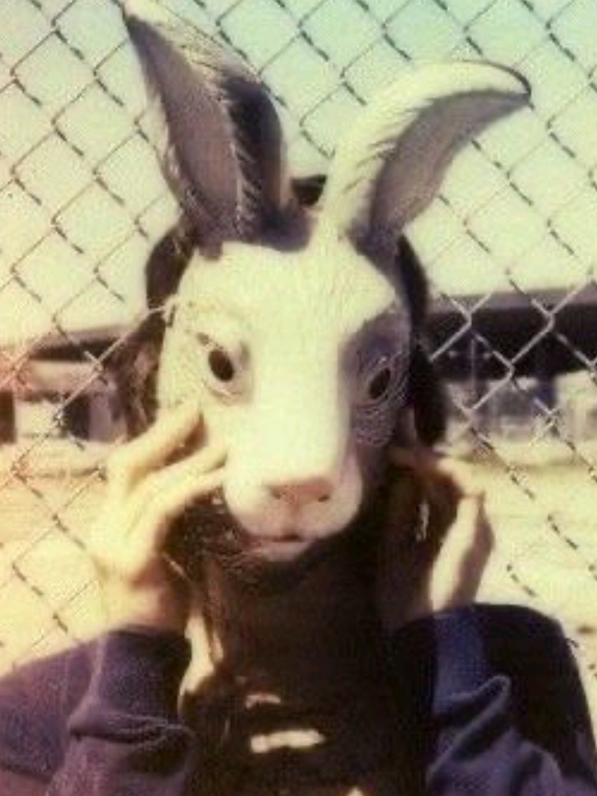 @𝑊𝑖𝑠𝑡𝑒𝑟𝑖𝑎𓆤