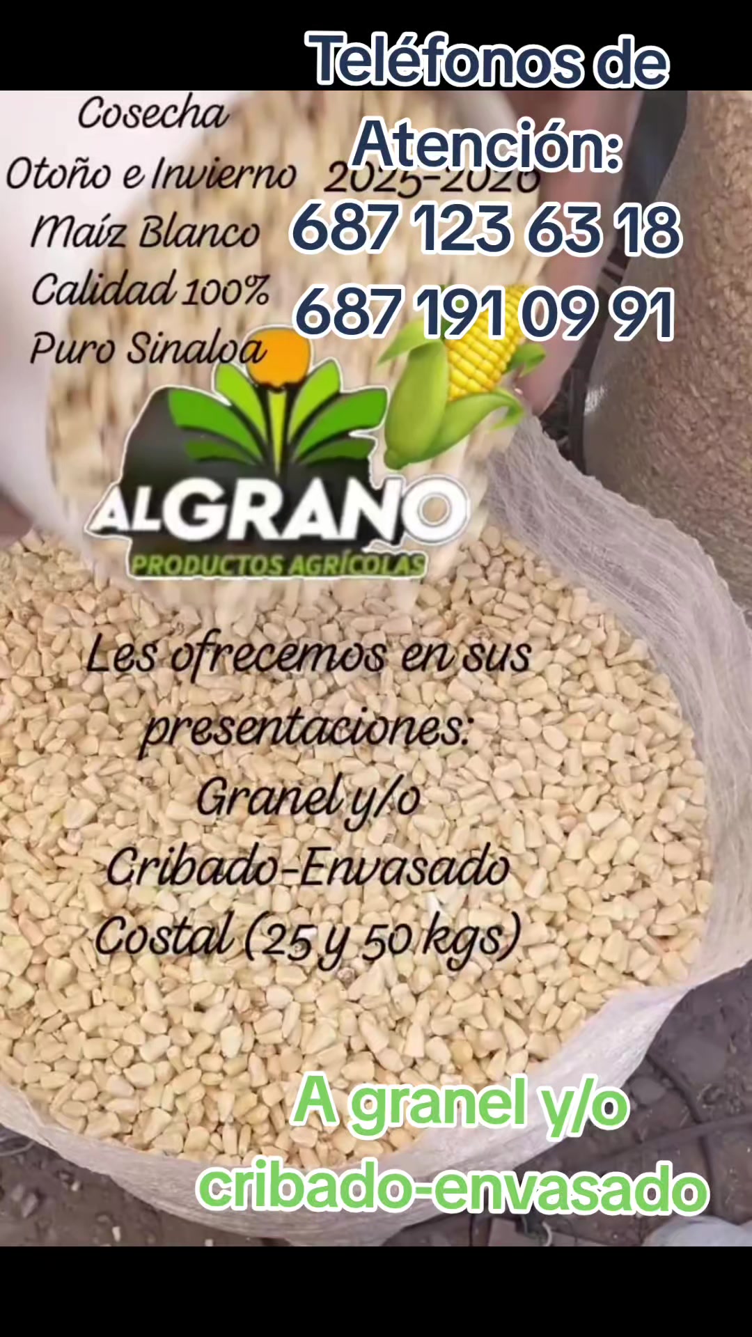 @Mario Diaz