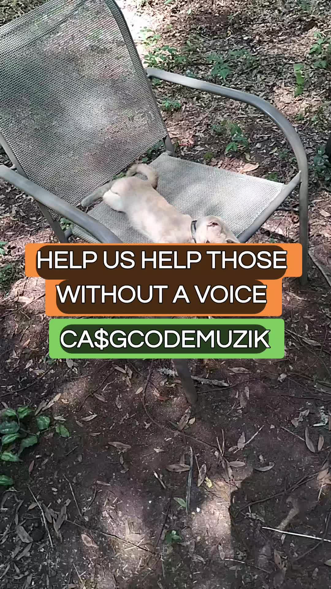 @CEOGodzGOON