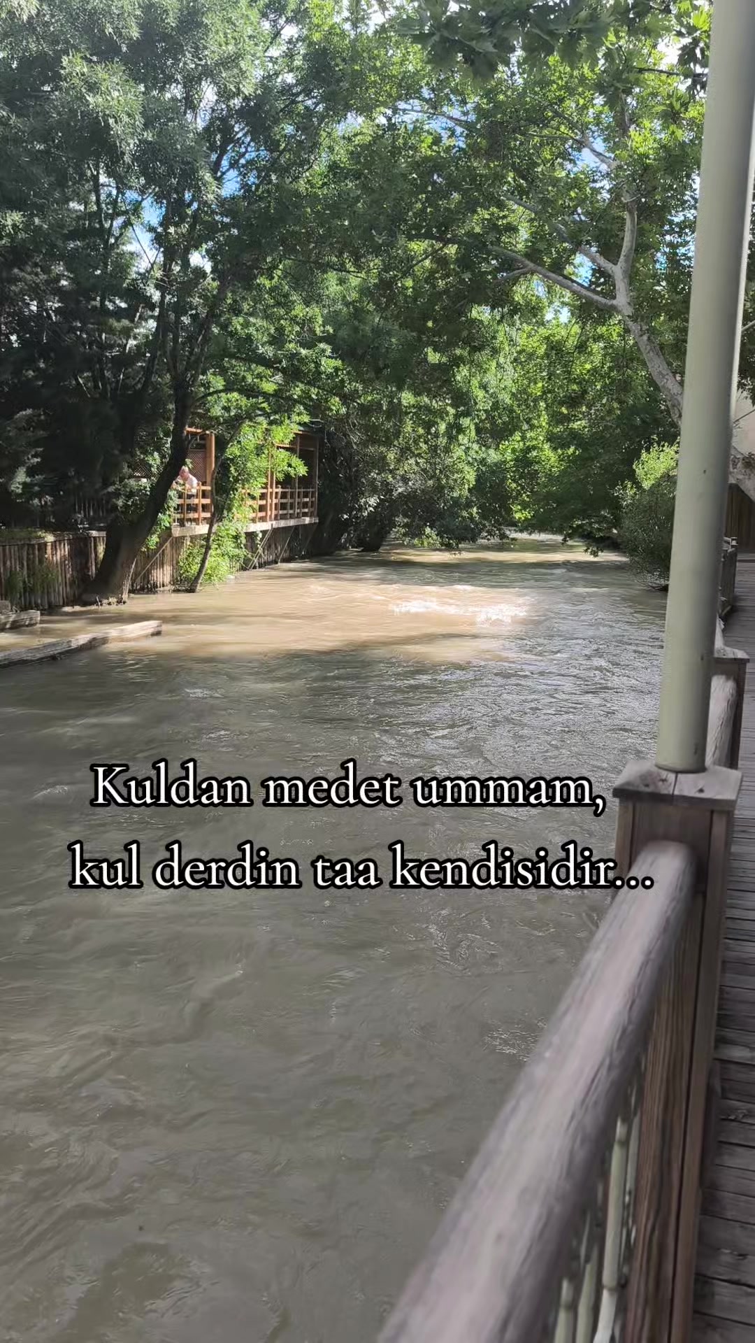 @ミ★ Ne&Ccedil;E🍁 ZOZAN ★彡