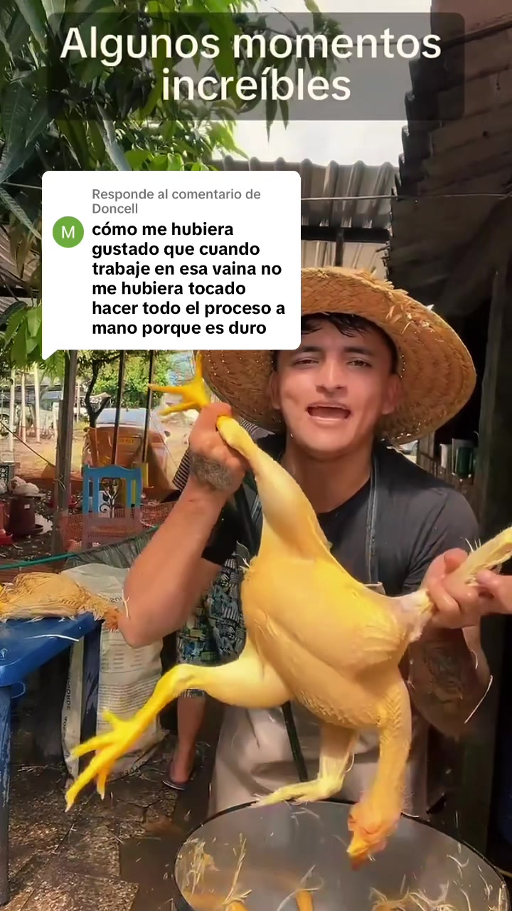 @elmagnatedelospollos