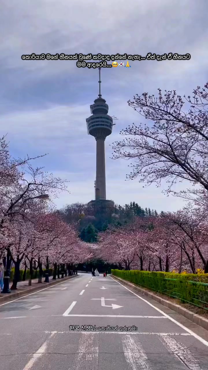 @한국 선생님 -කොරියන් ගුරුතුමා