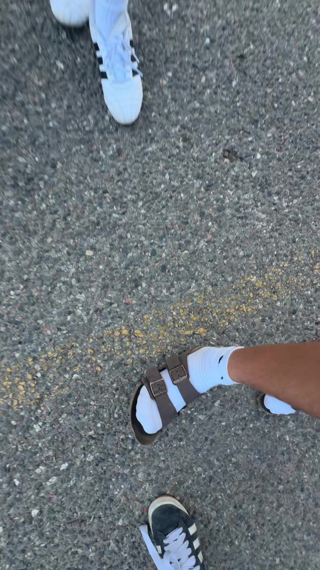 @sheshe