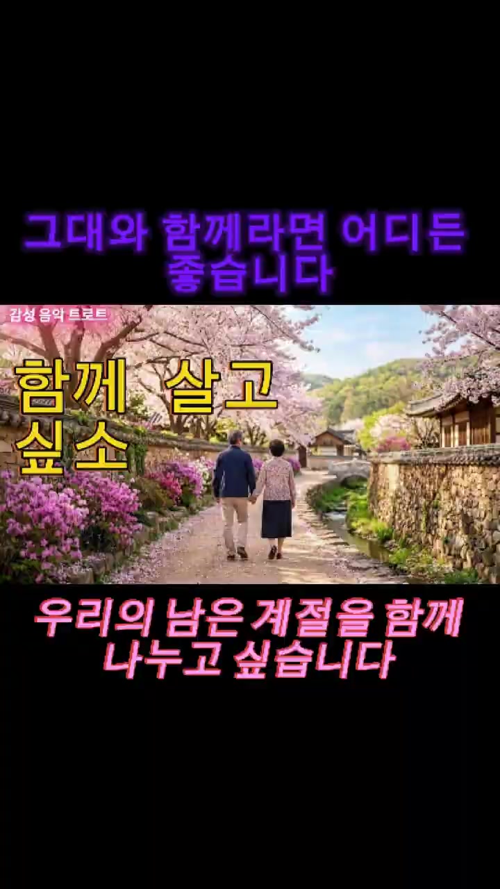 @감성 음악 트로트