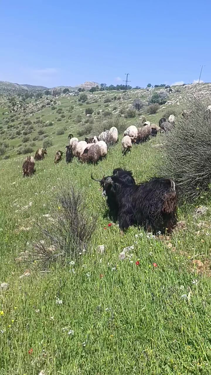@⚔️ENES &Ccedil;ETİN⚔️