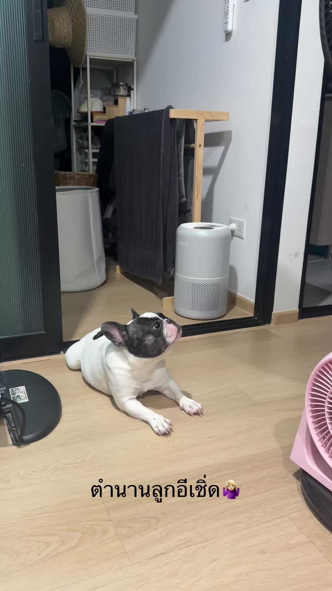 @ช่องน้องตังค์