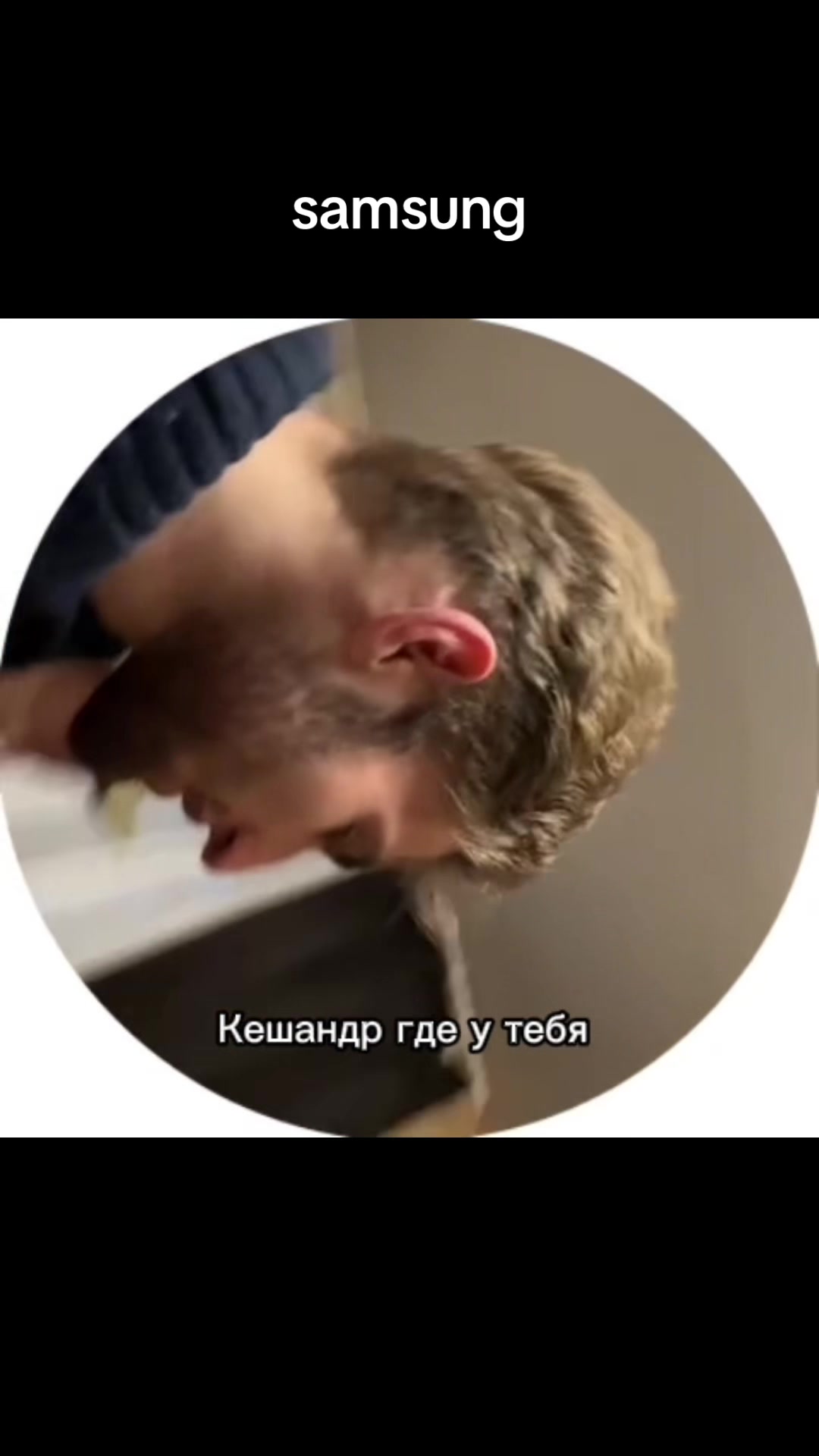 @Birbito400iq