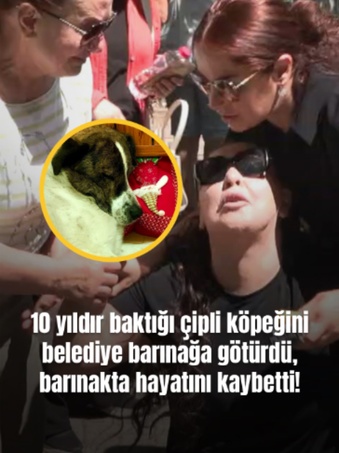 @Mynet
