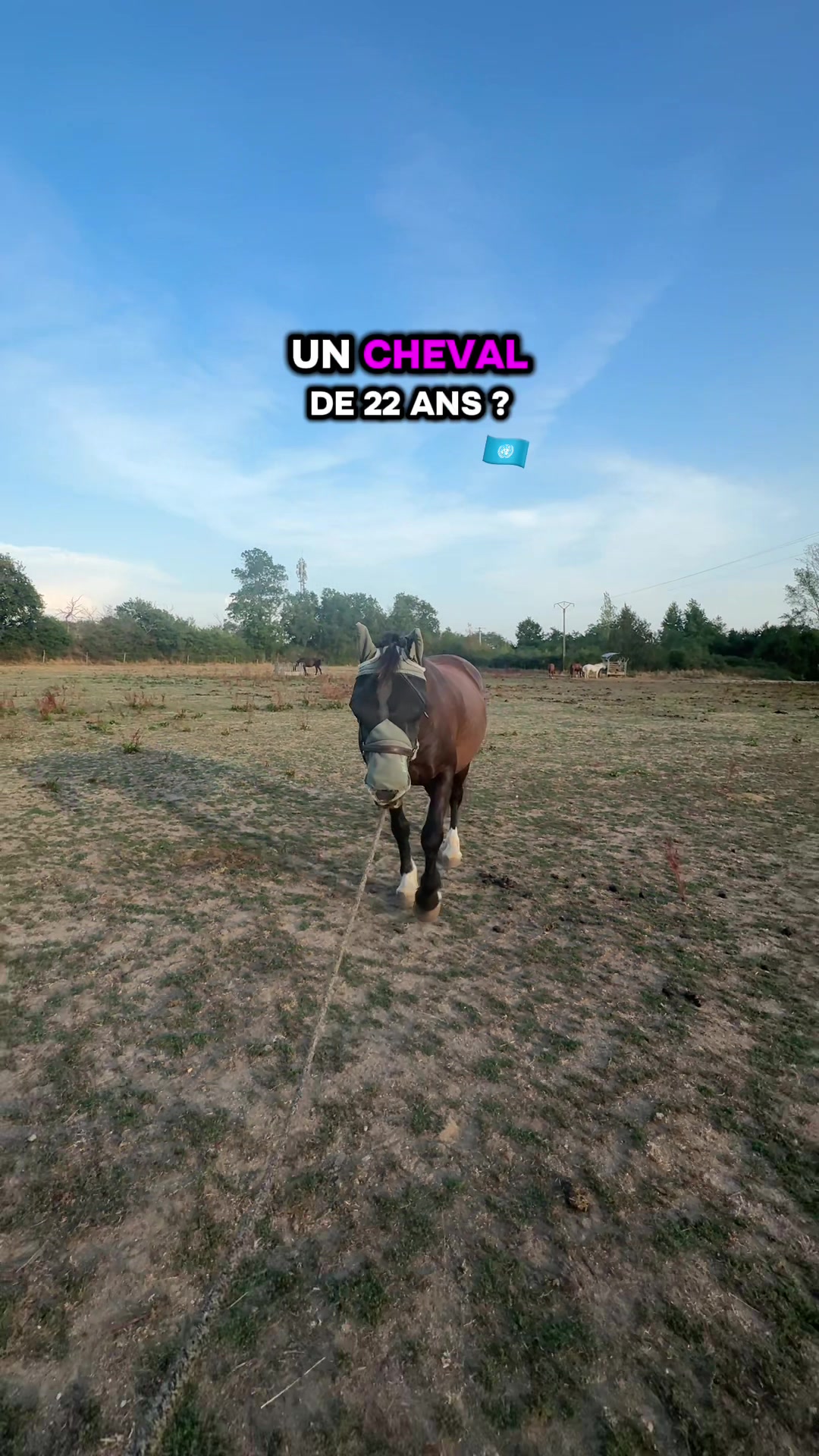 @Seren the pony ๐ด