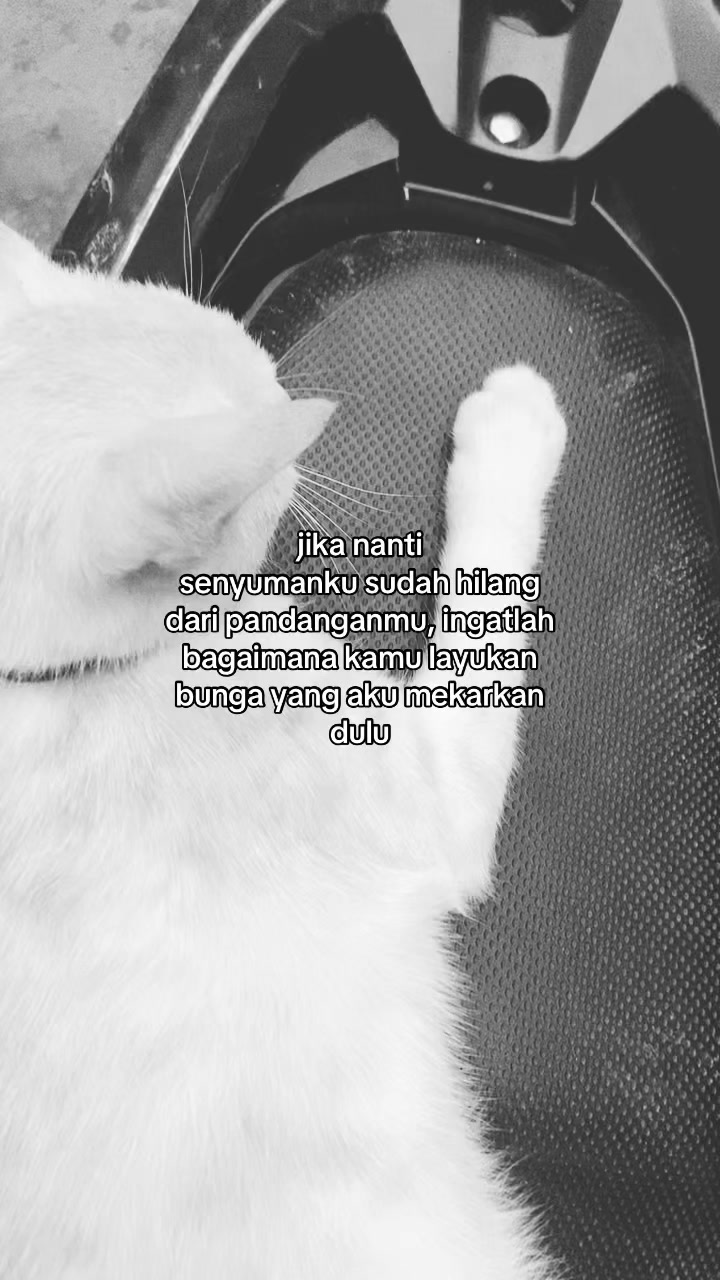 @idk🤷🏻♀️