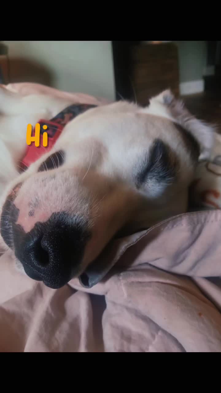 @โค๏ธ๐ด๐๐ฆโก๏ธ๐ธ๐๐๐ง๐๐๐๐กโโค๏ธ