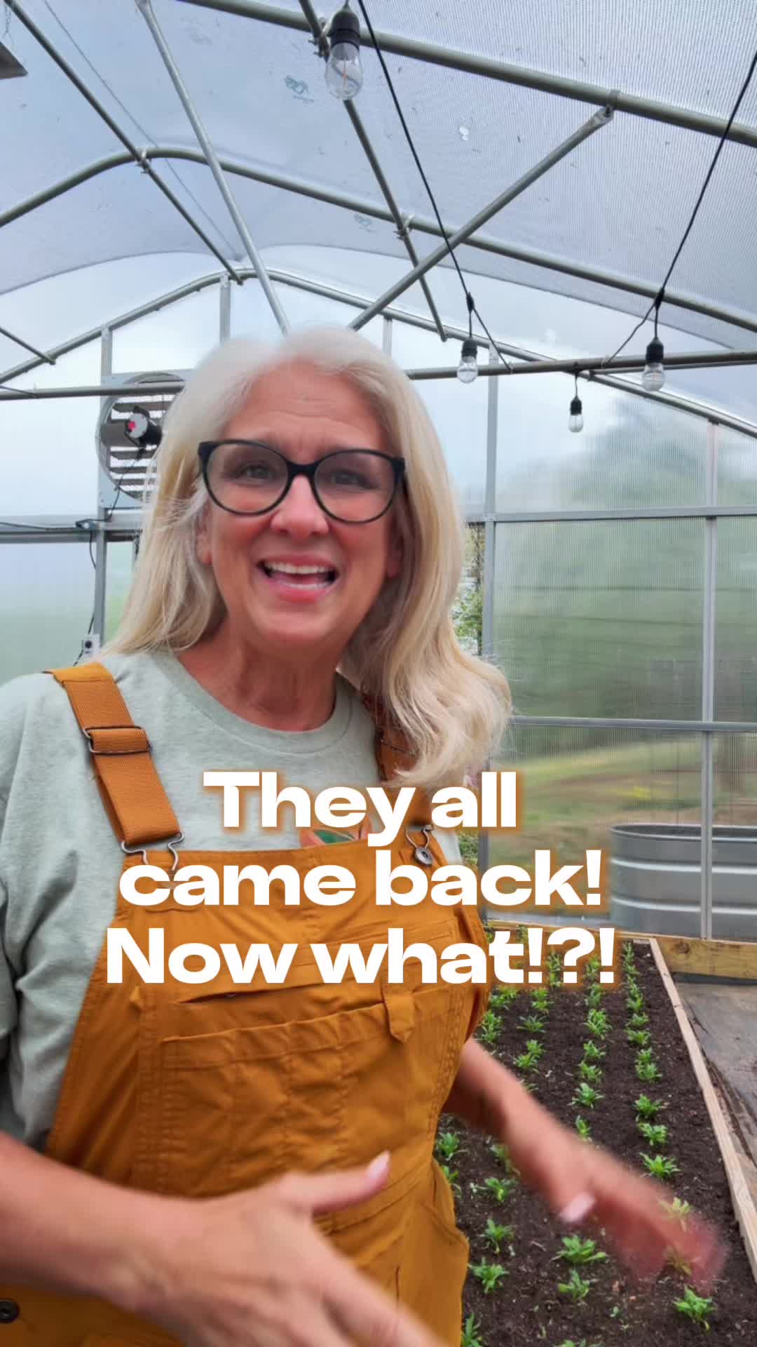 @Sweet BombDiggity Farms