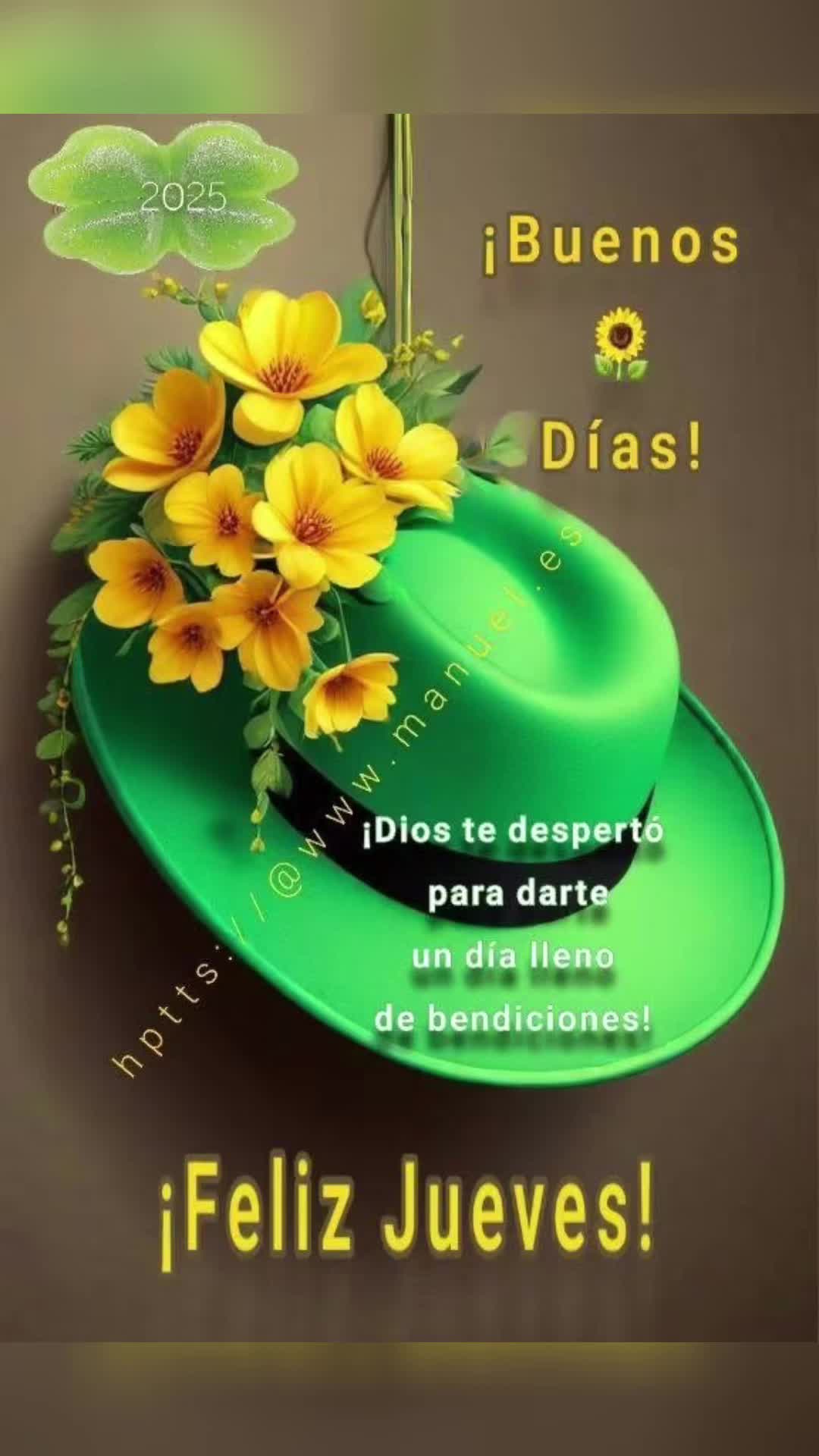 @elvirasvg