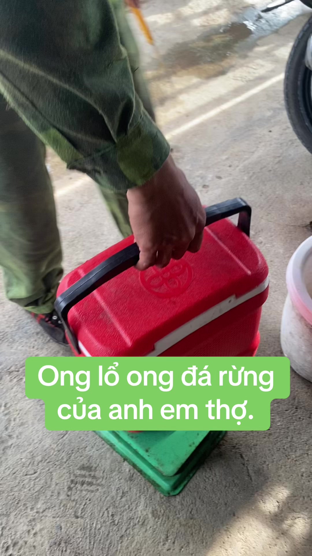@Mật rừng THÀNH ĐẠT