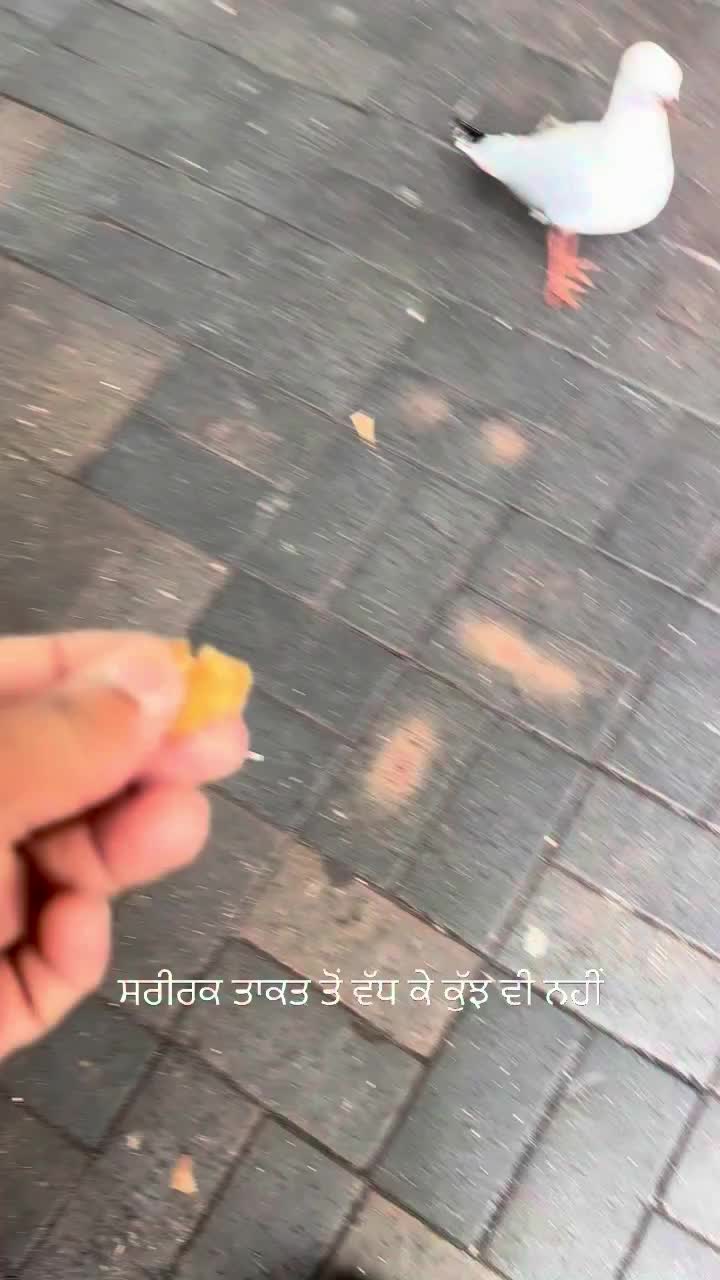 @☬ ਜੱ🦅ਟ ☬
