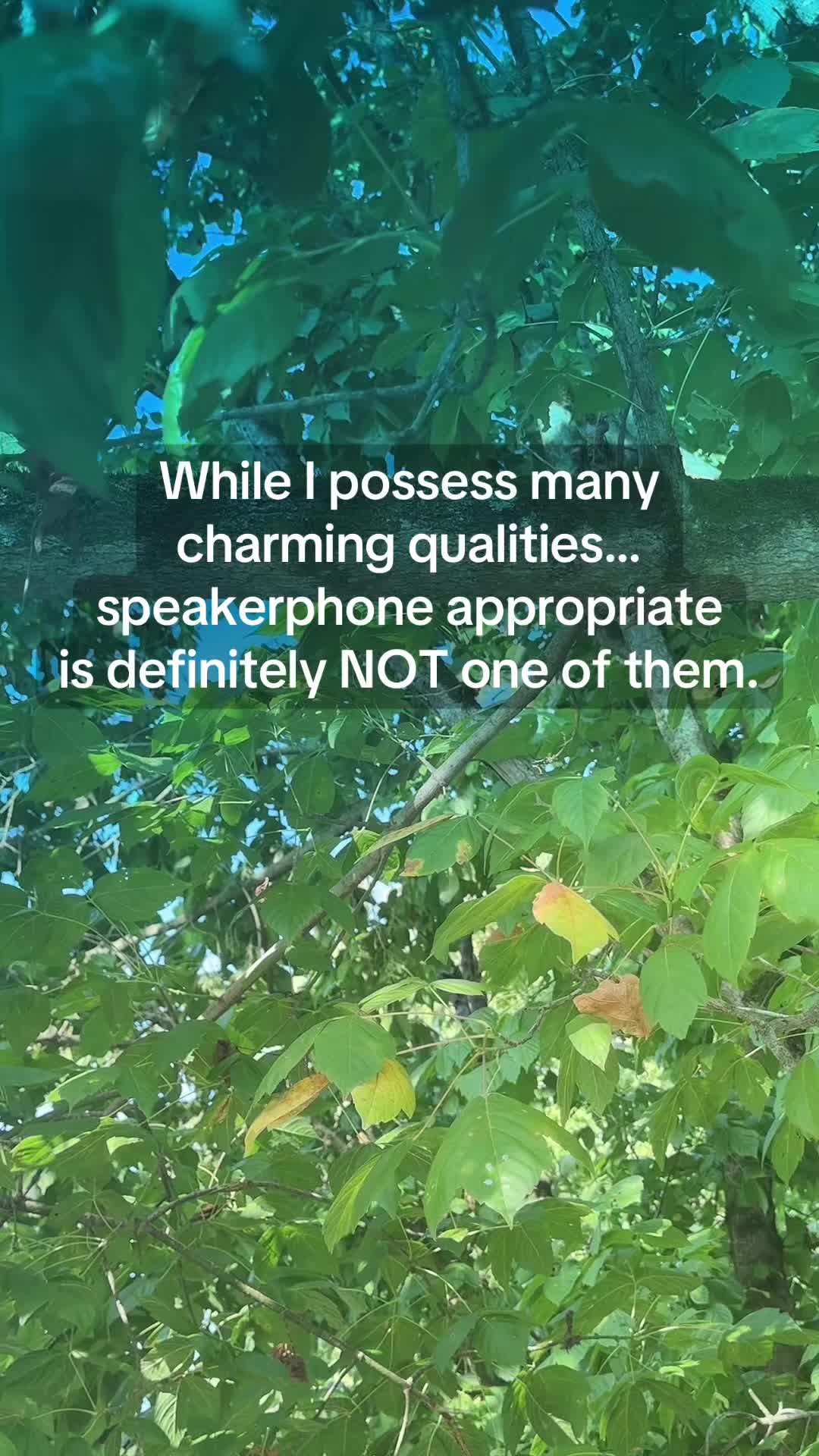 @Ric 206
