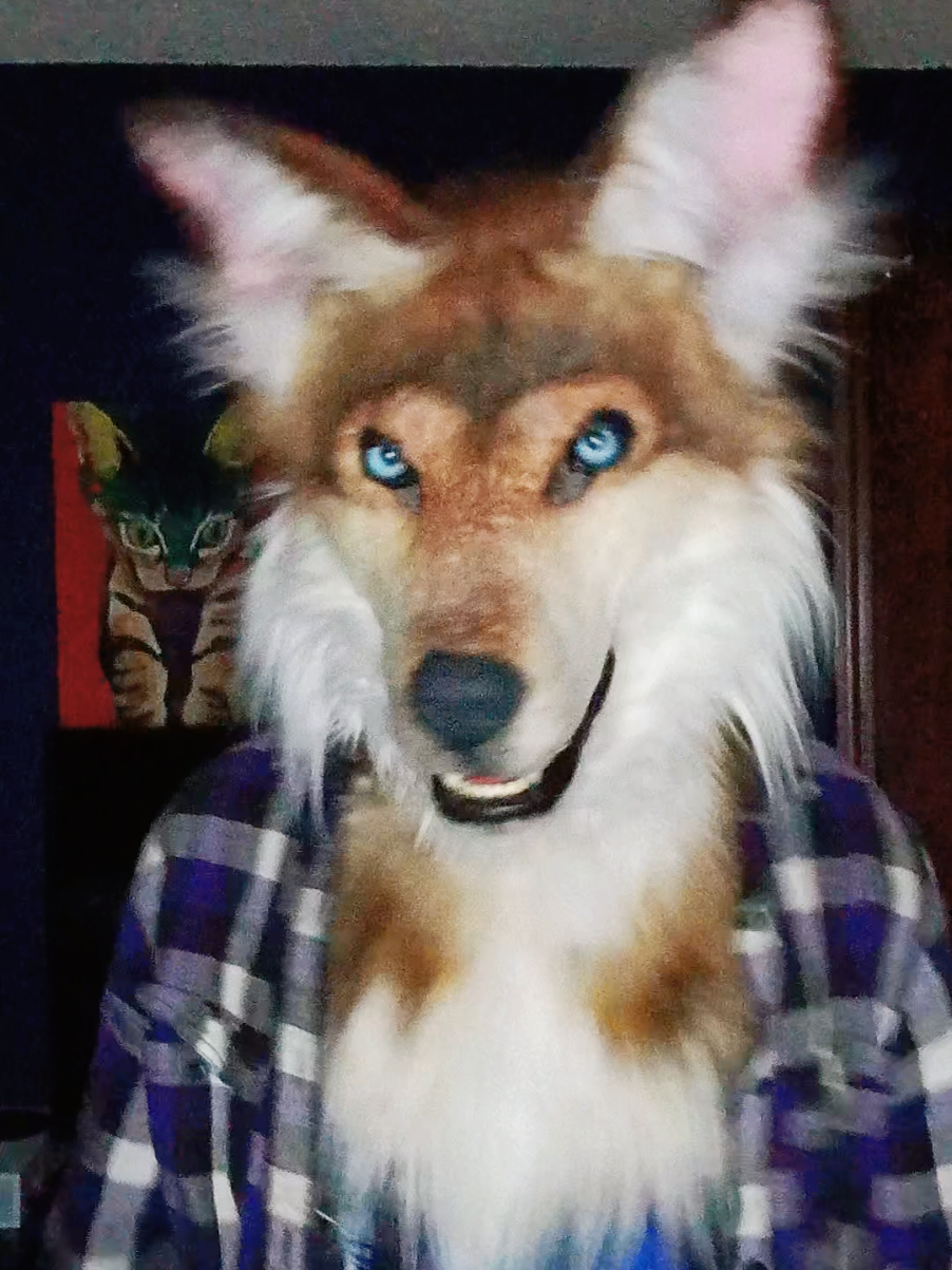 @SaltyFox
