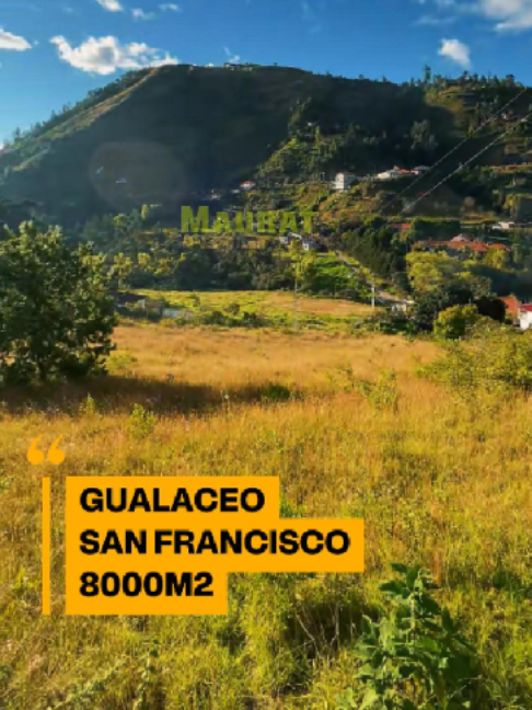 @Maurat Real Estate