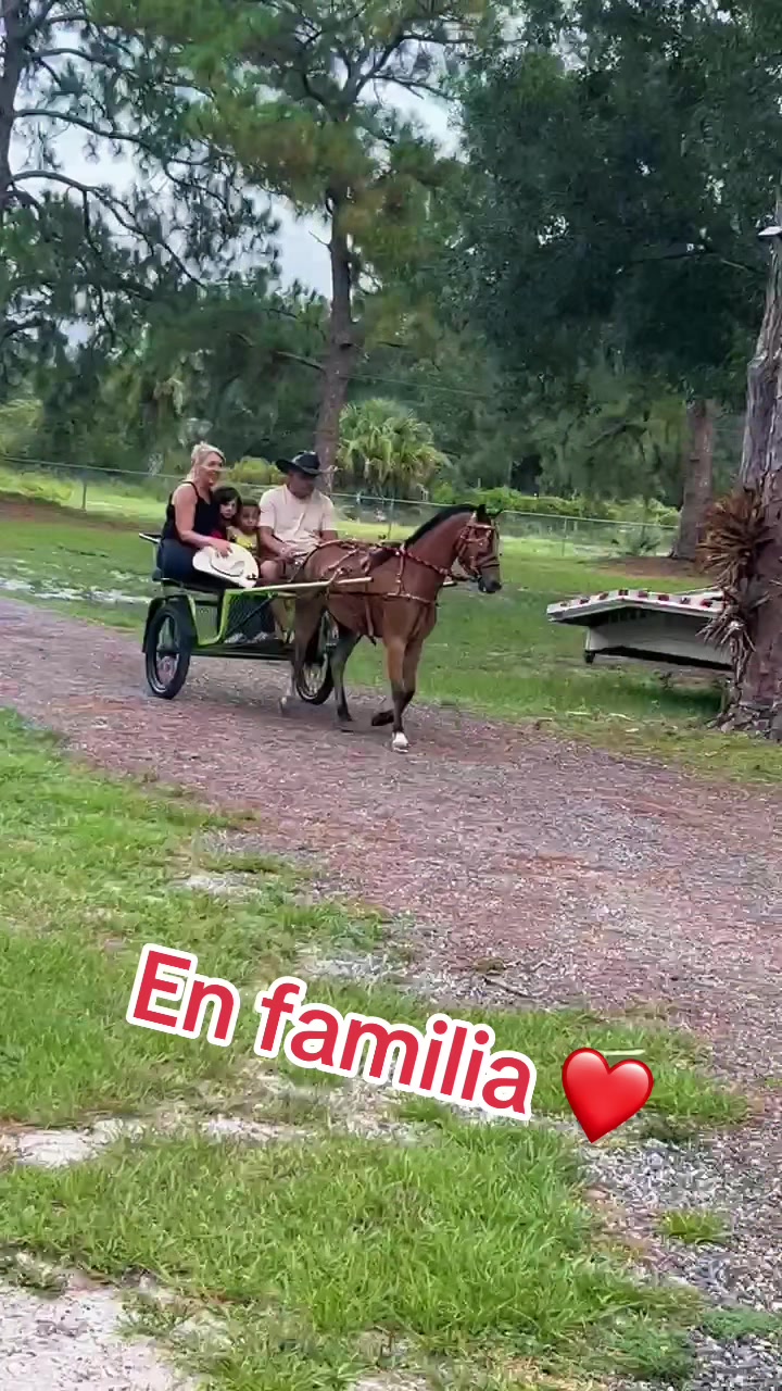 @Danny