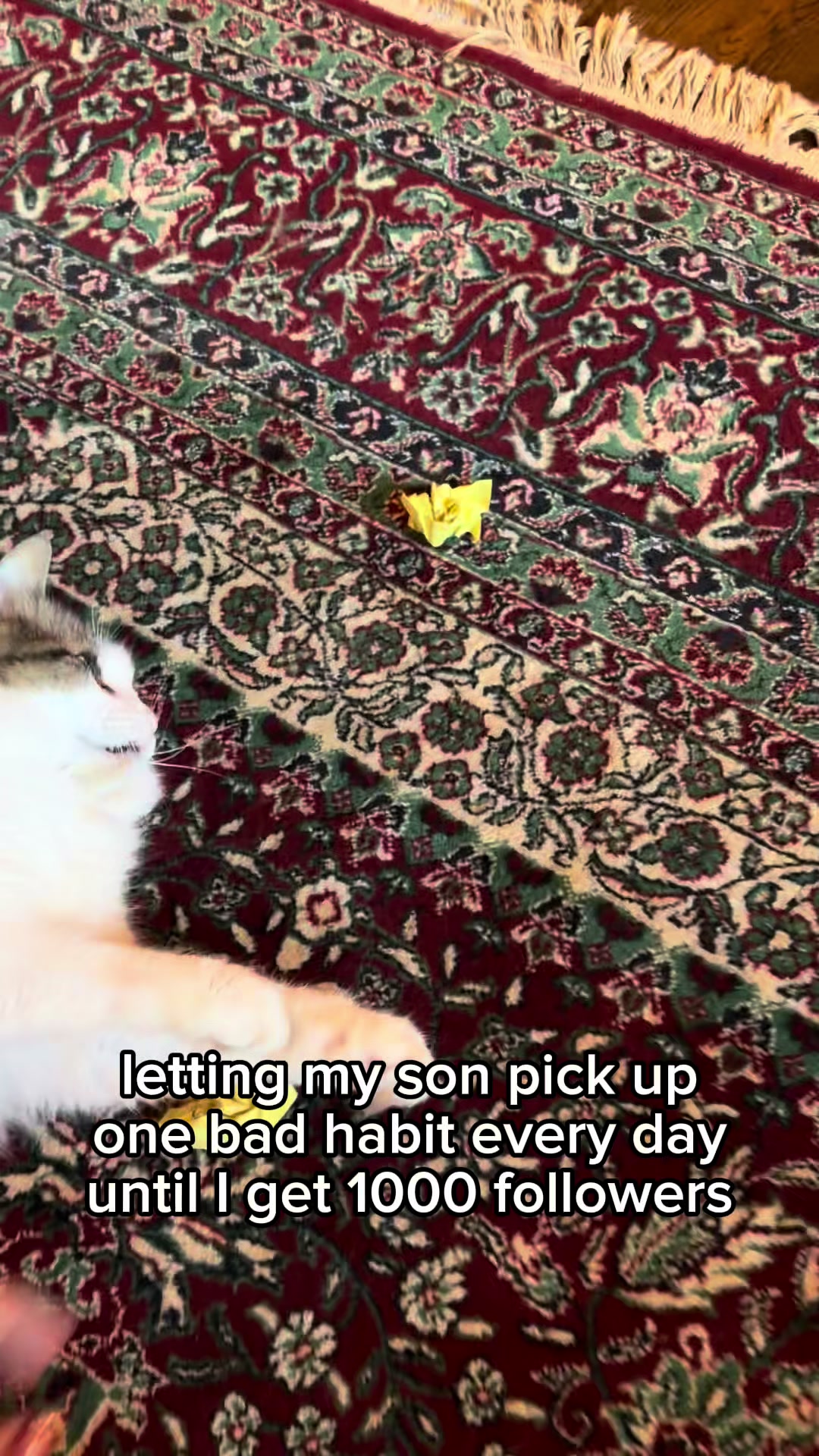 @jordan!!