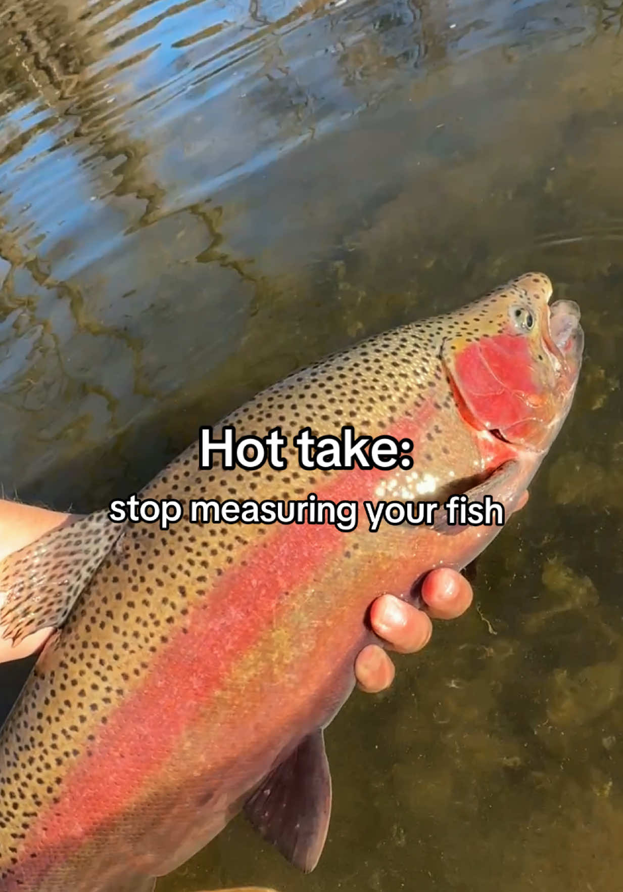 @TroutDoor | Fly Fishing