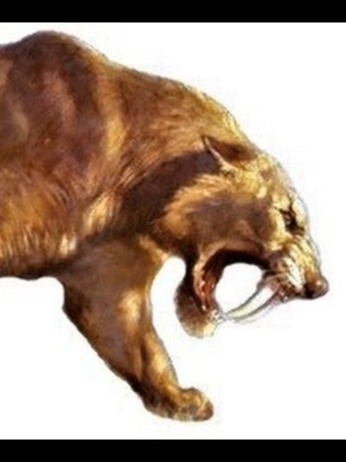 @Extinction Cometh