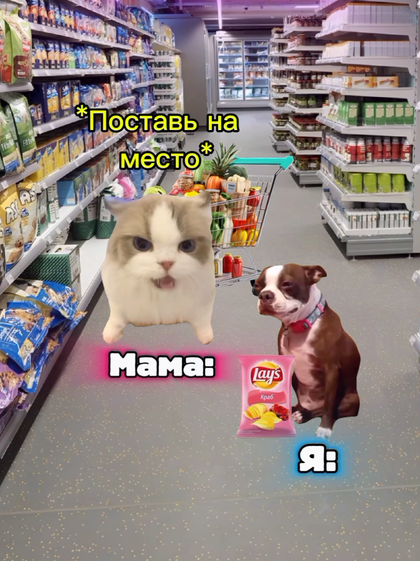 @MisterCat
