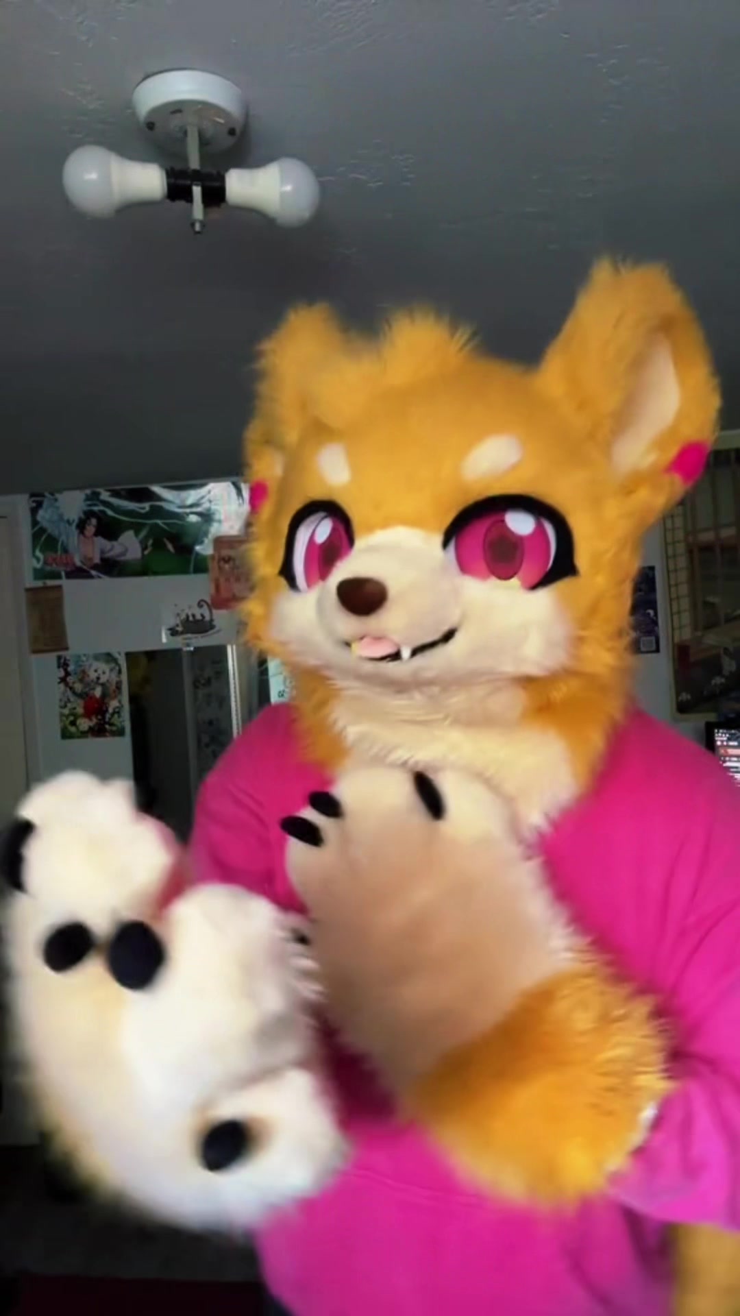 @Tenko🐾