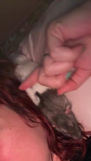 @sincerelypattyg