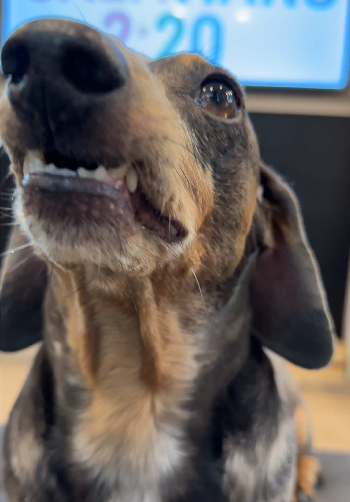 @Oscar The Wiener
