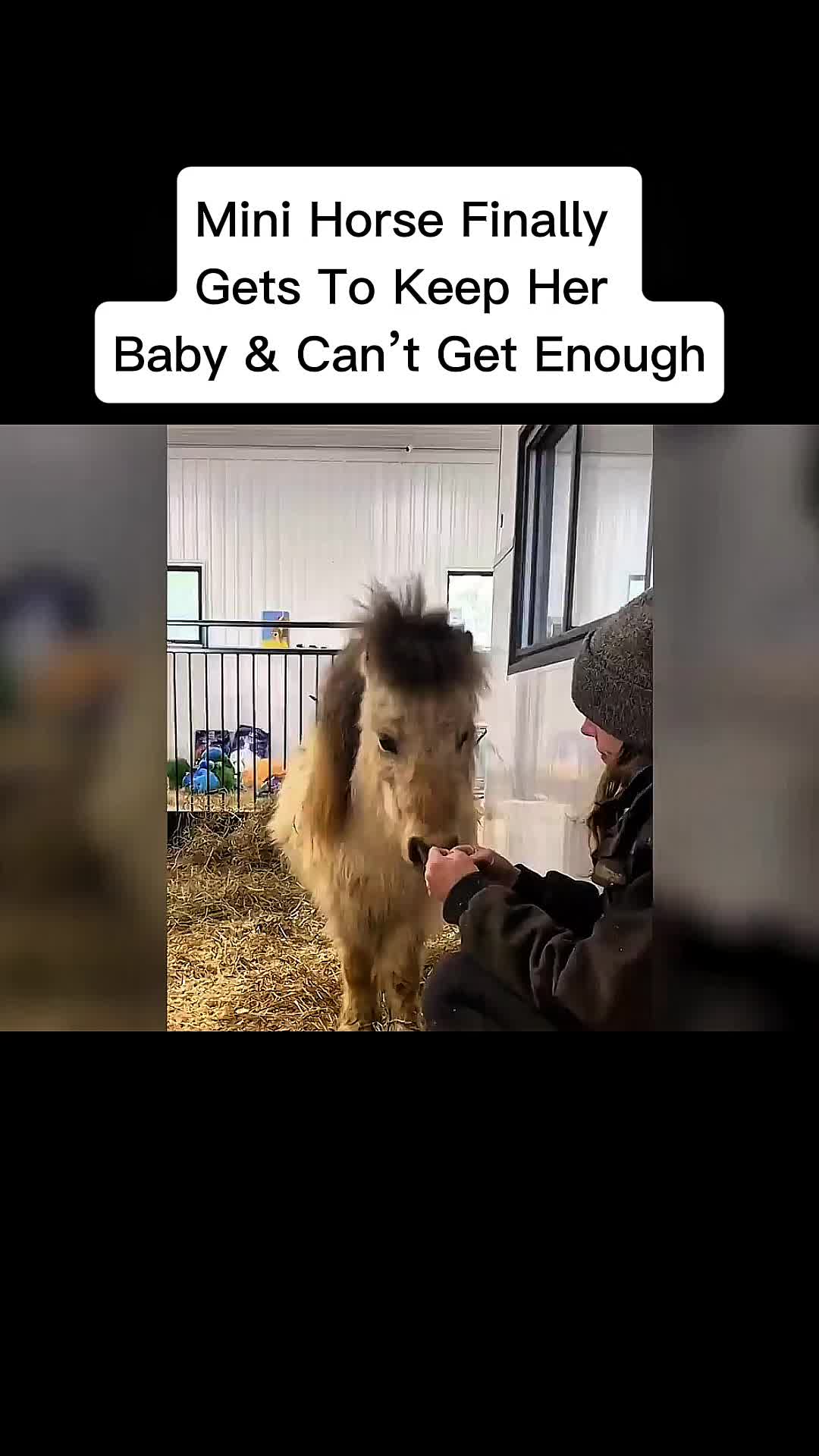 @cddle_buddies_channel