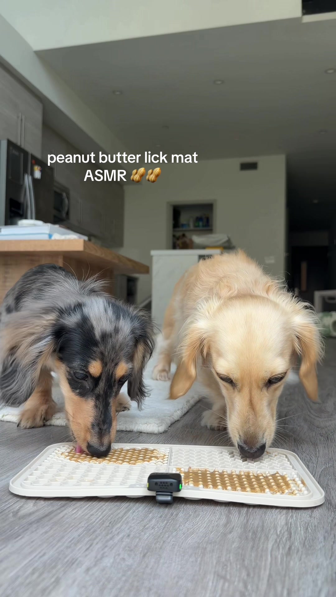 @Lila & Lily The Doxxies