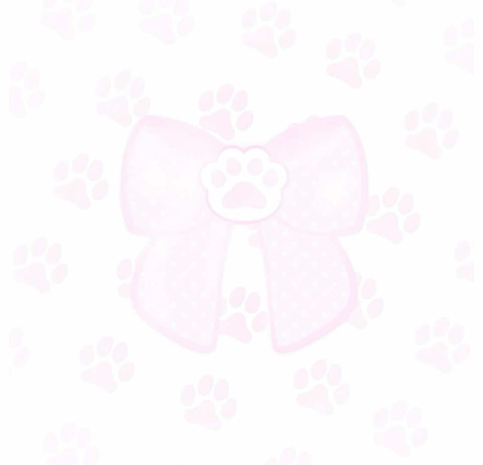 @₊˚pawsui𓈒 ۪!𖾕𖾝꙼ᩚ𛲕𖾟