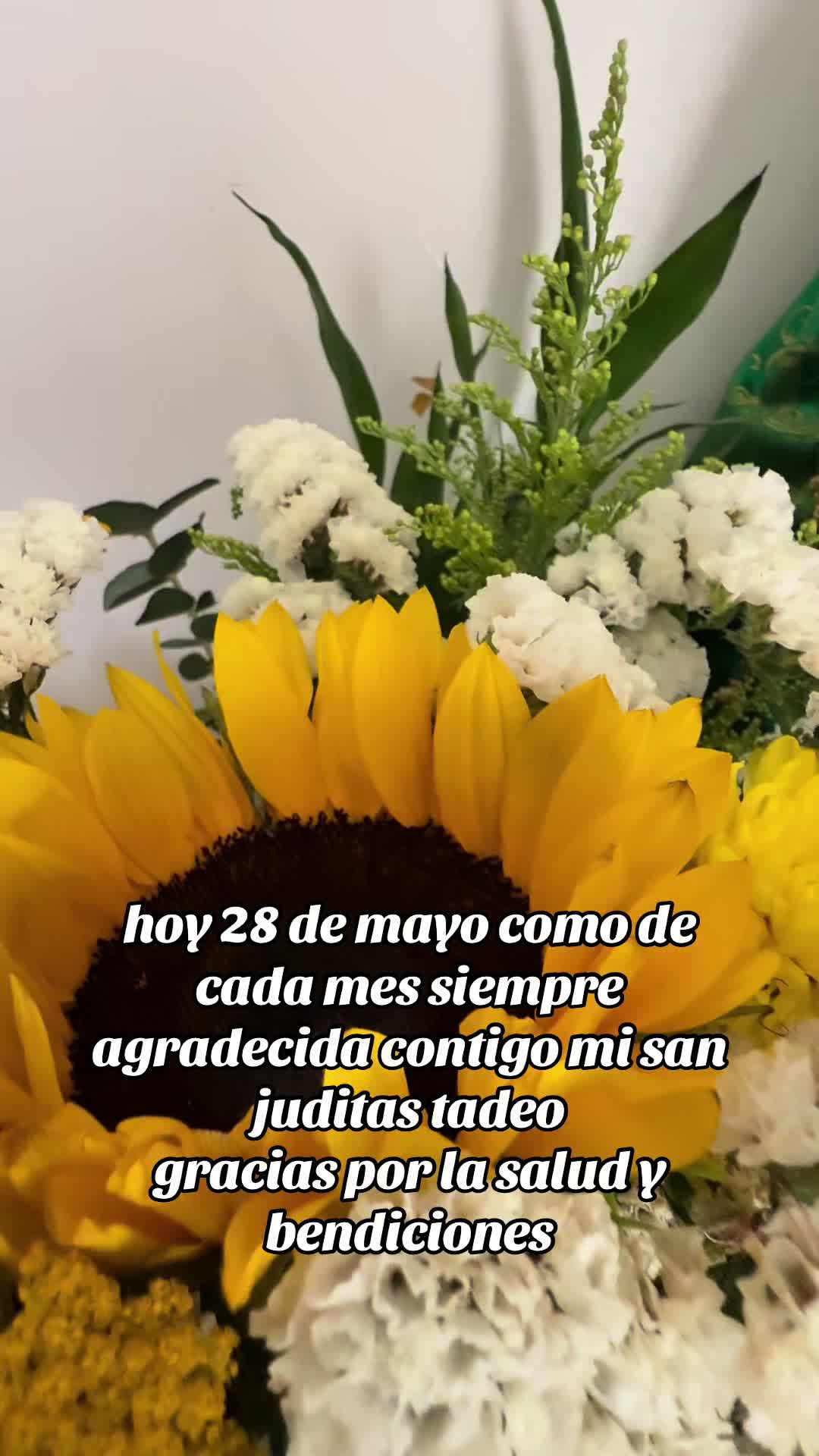 @Lupit@❤️🧿