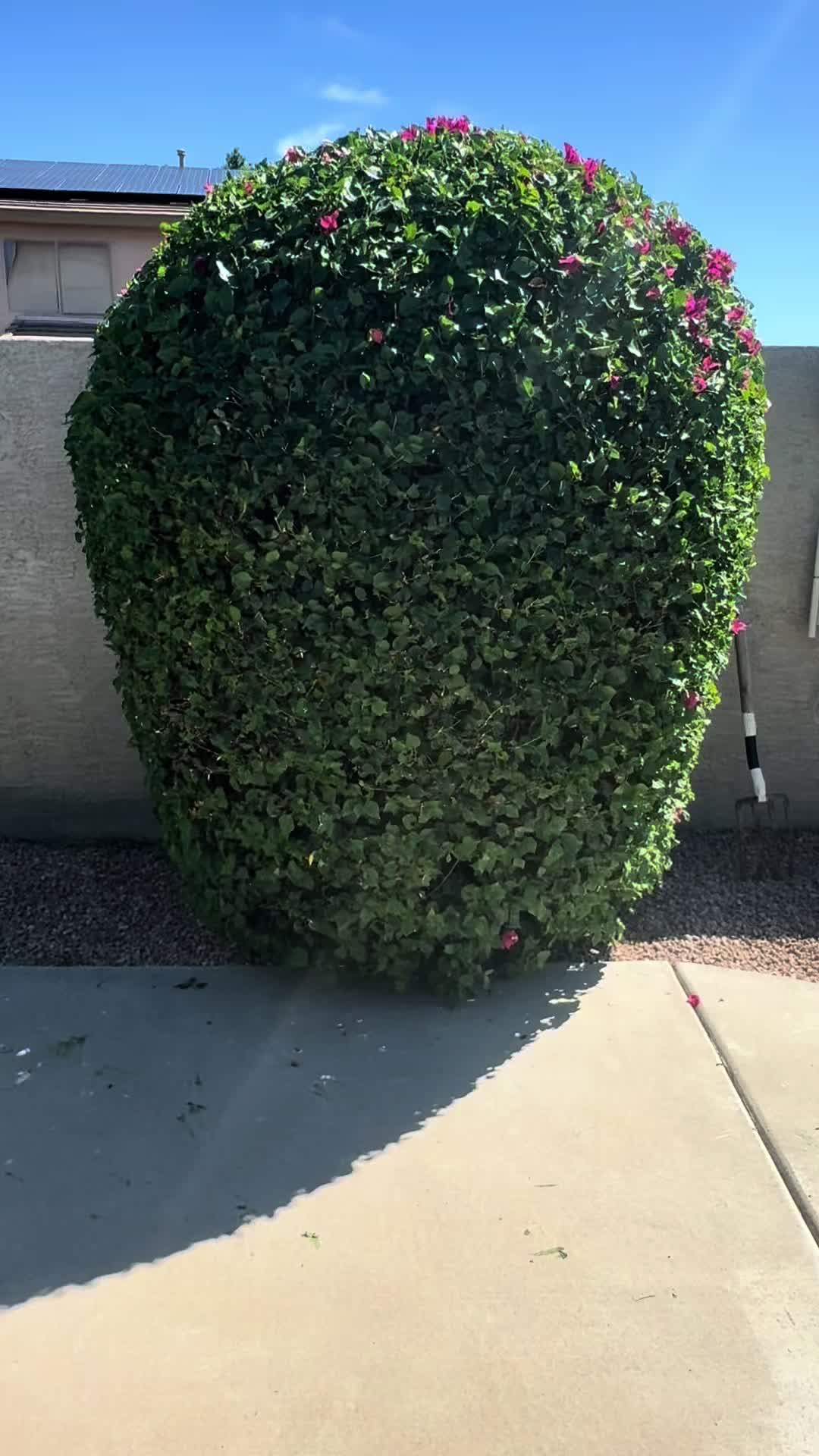 @landscaping