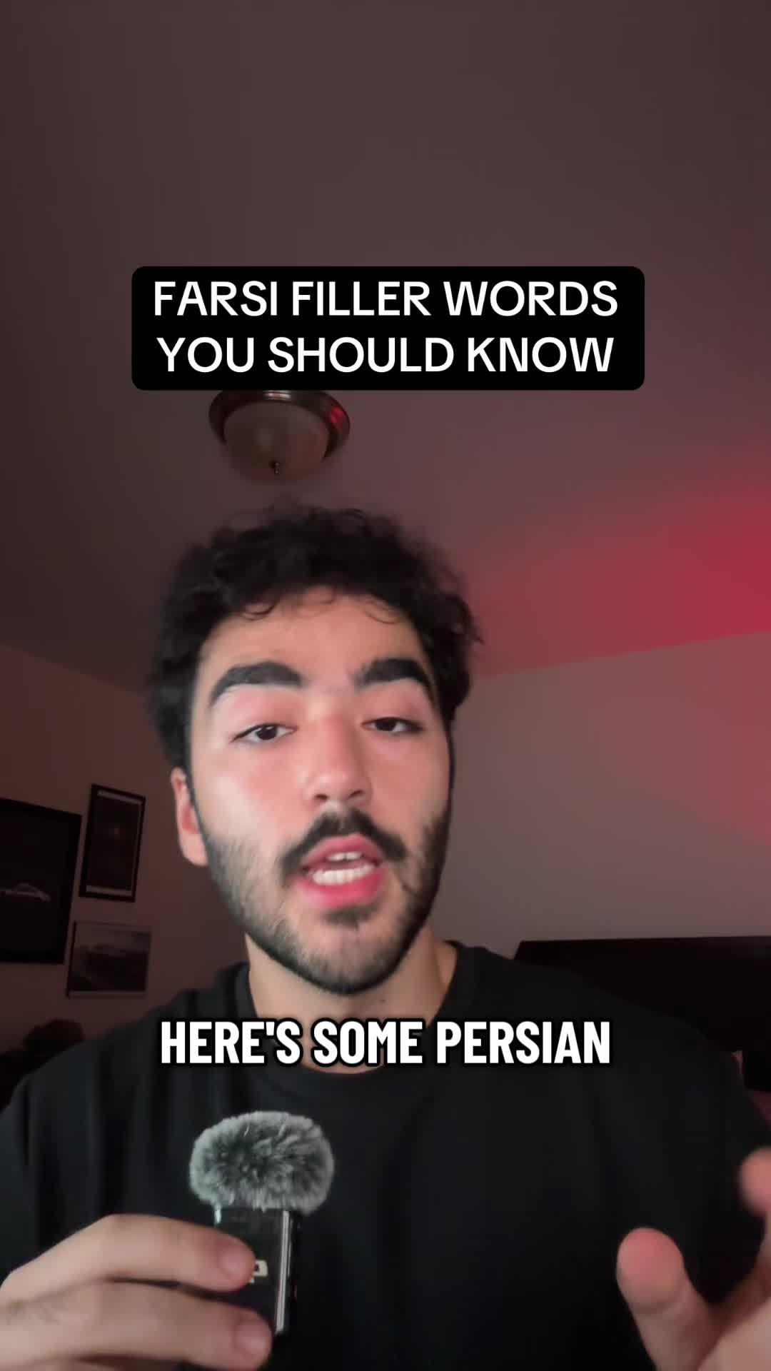 @mahdi.polyglot