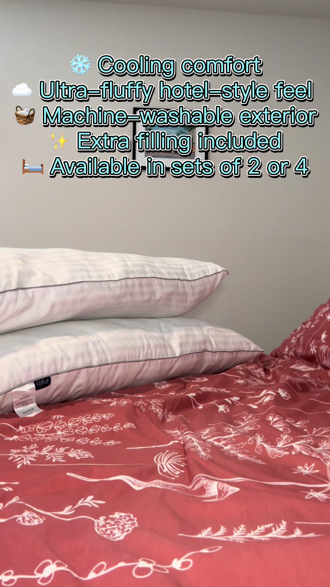@leeanimal_