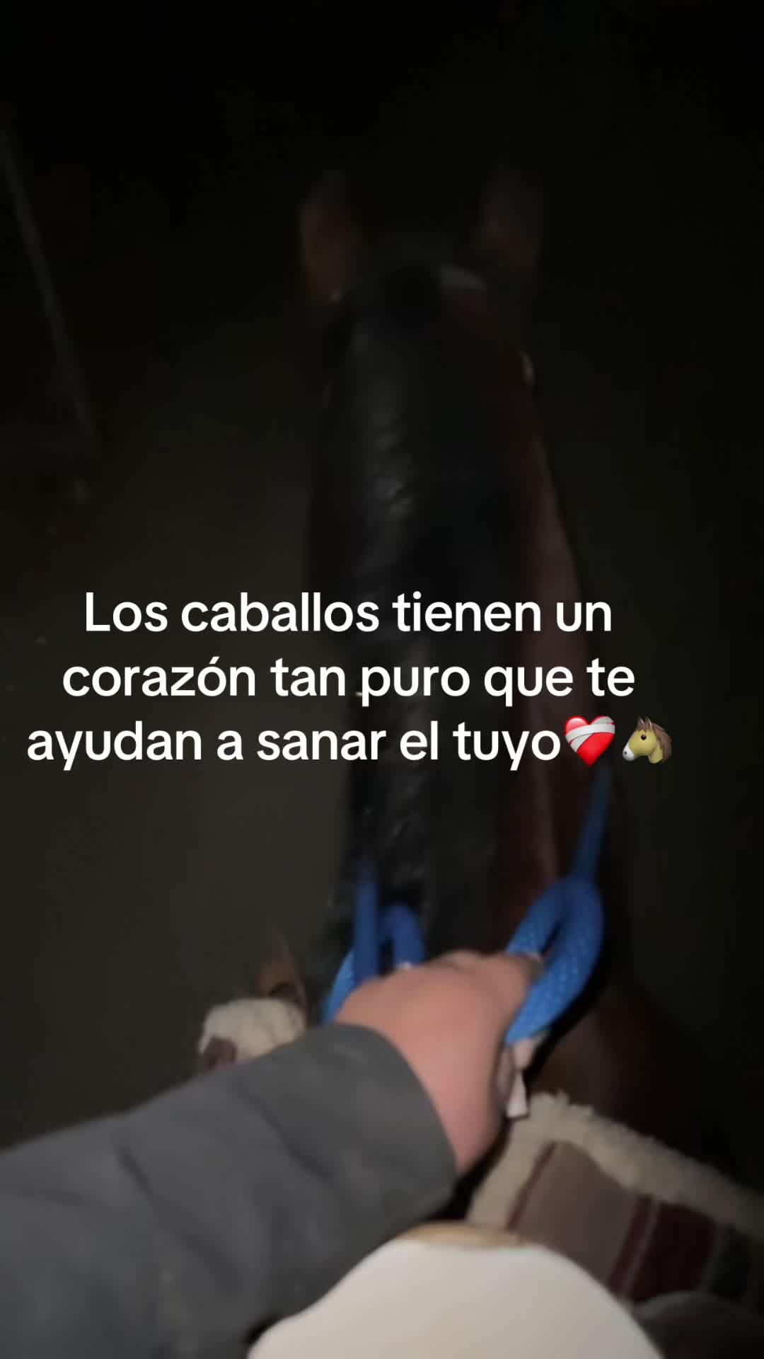 @Daniela 💙