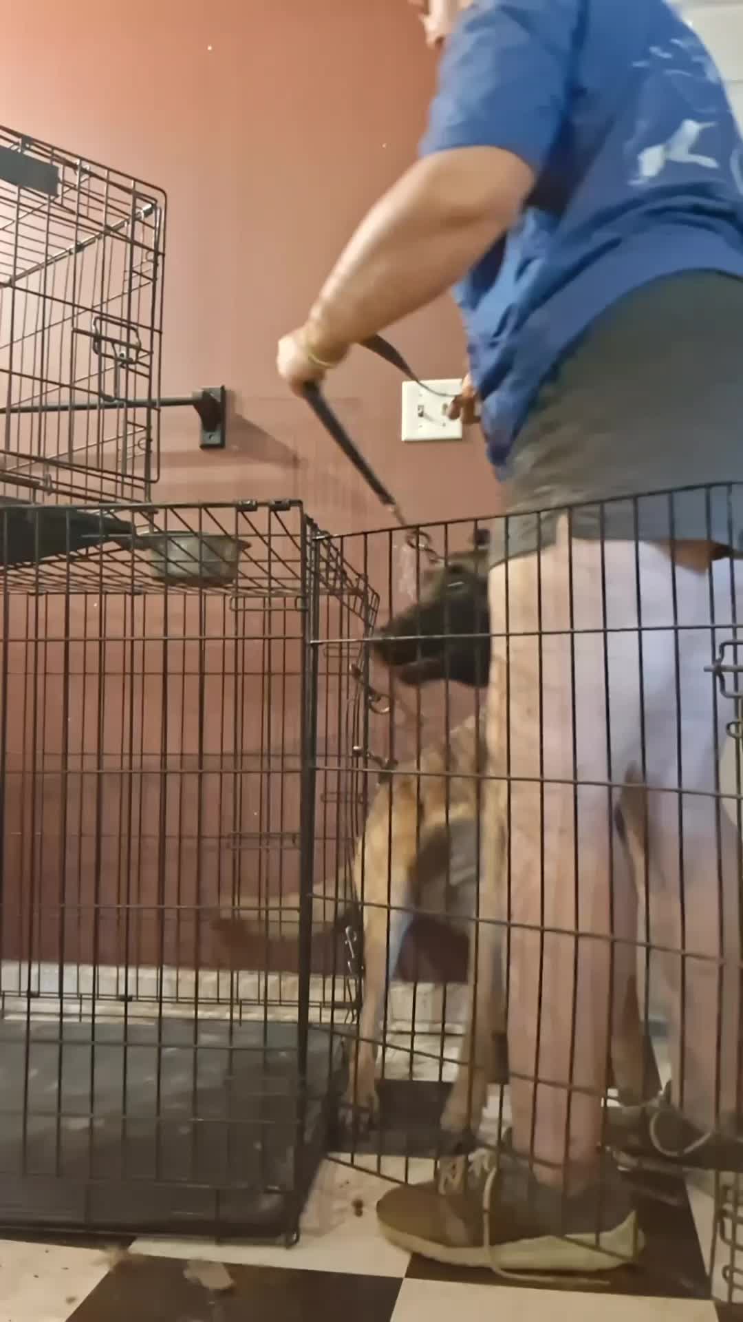 @Natalie Thatmalinoislady