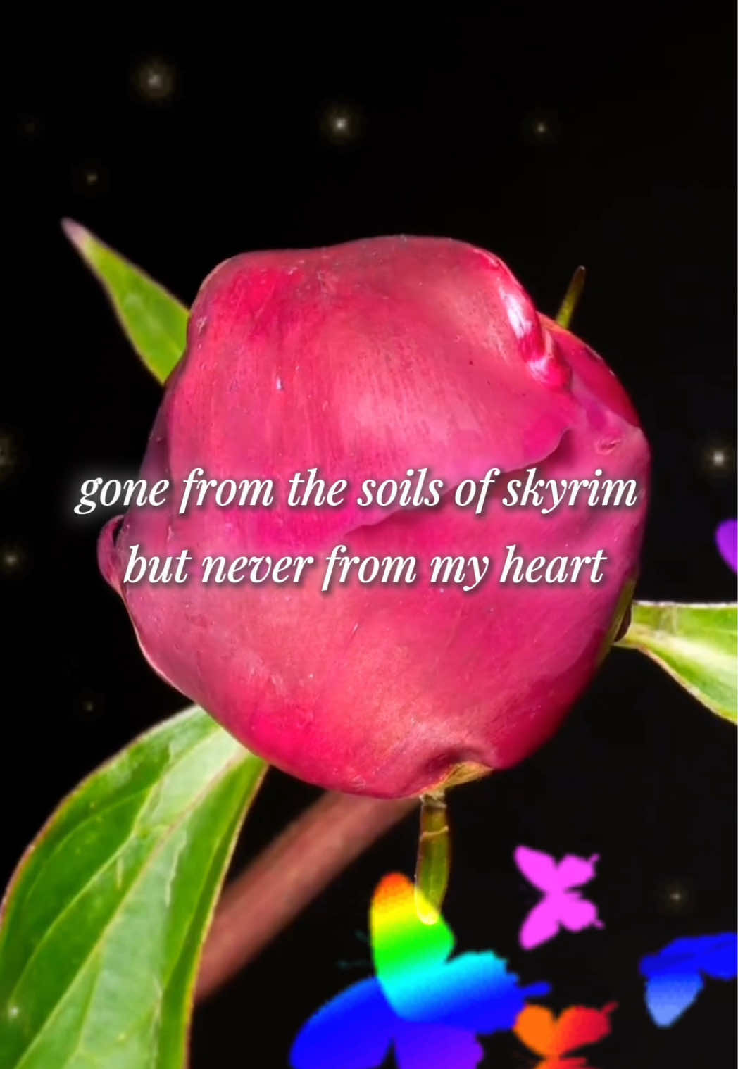 @figplum