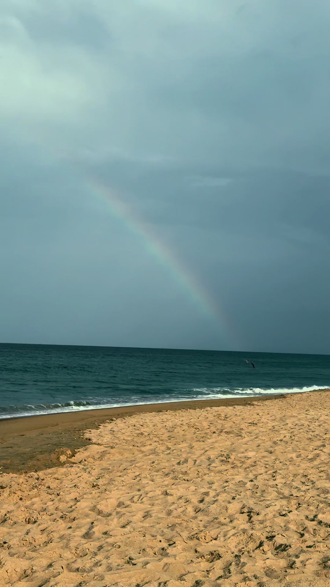 @Chandler | OBX Photog ˖°📷 ༘