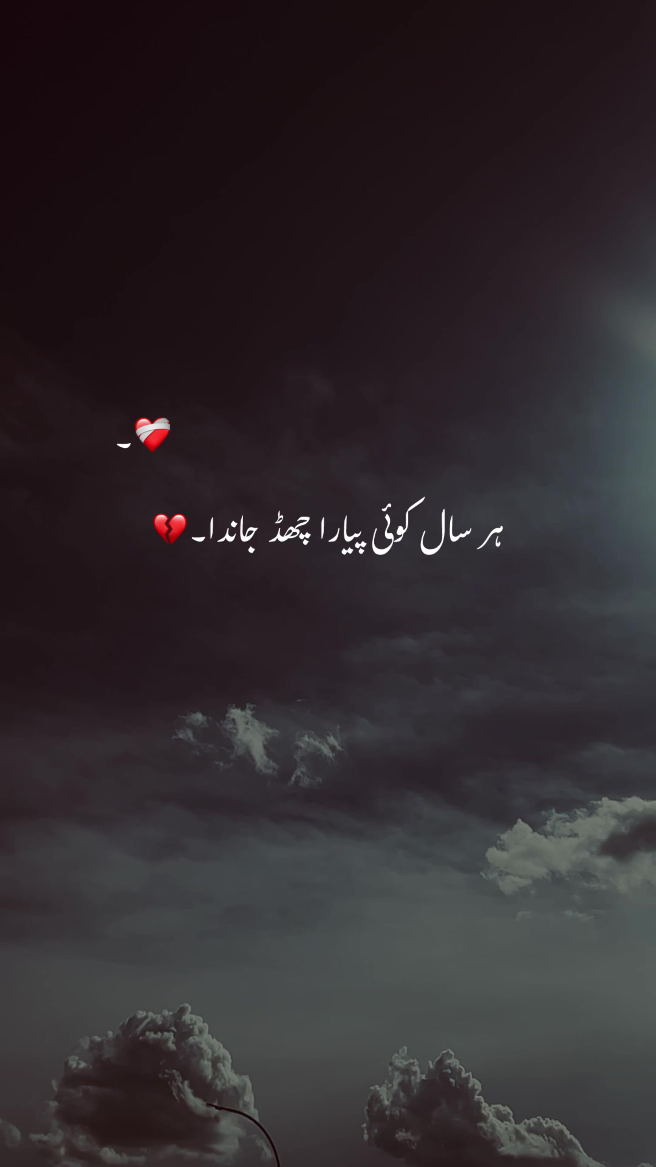 @AرHAM.🌸