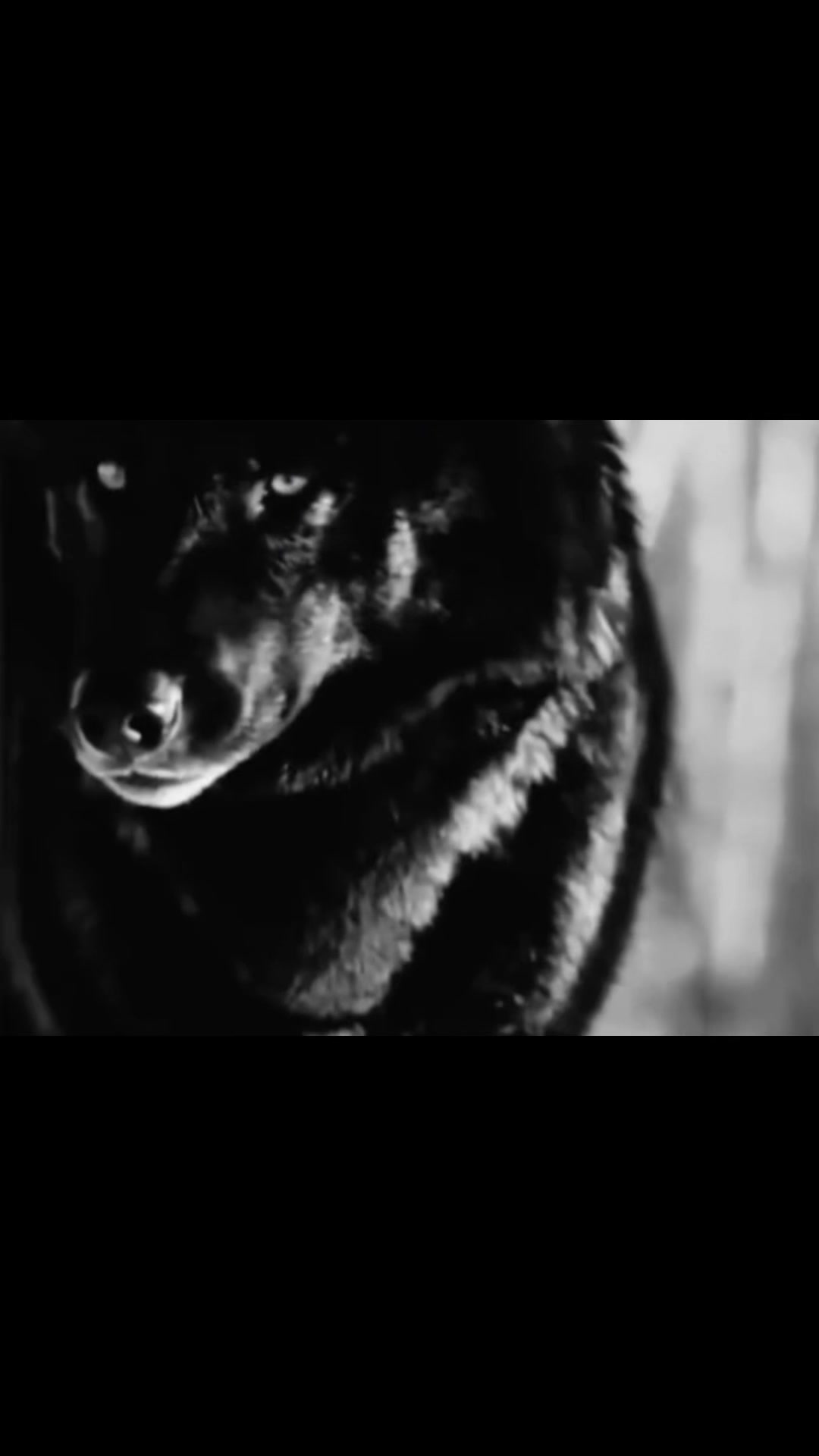 @Wicked_Diablo_666