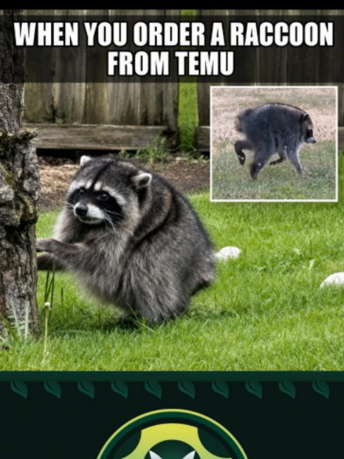 @Vinesauce_Vinny