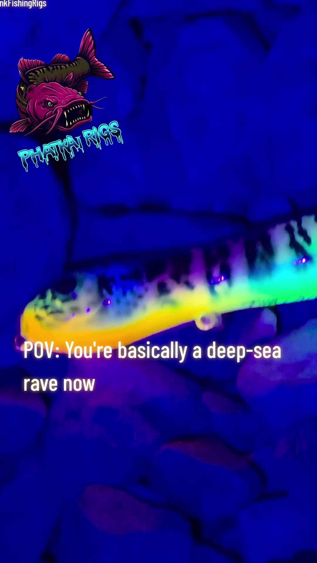 @PHATKAT RIGS